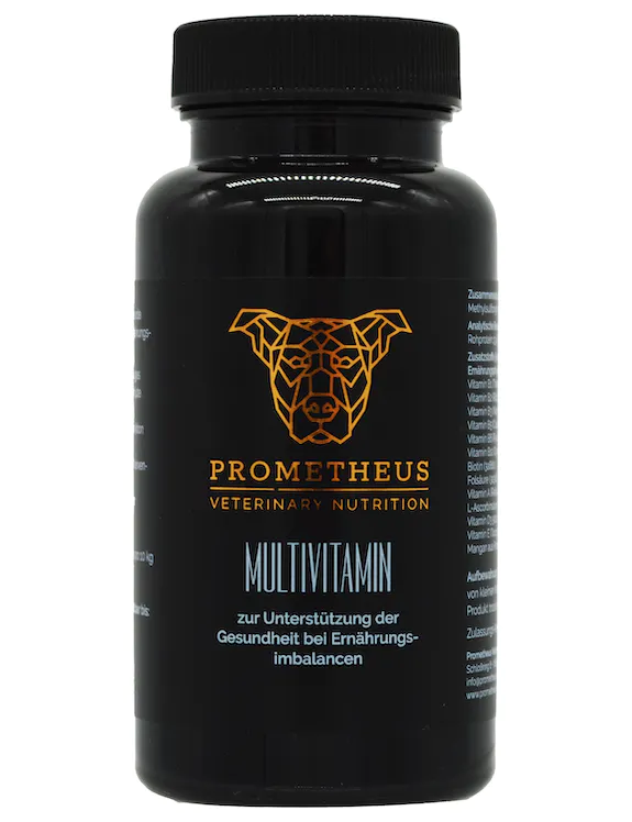 Prometheus "Multivitamin mix" 120tbl
